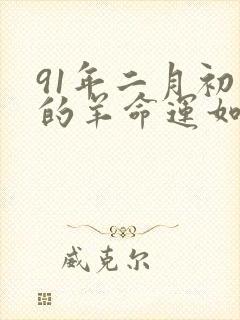 91年二月初八的羊命运如何