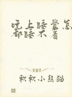 晚上睡觉怎么睡都睡不着封面