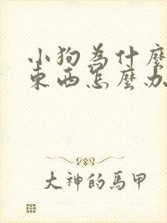 小狗为什么不吃东西怎么办