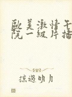 欧美激情午夜影院一级片播放,封面