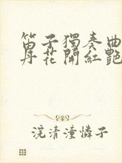 笛子独奏曲山丹丹花开红艳艳