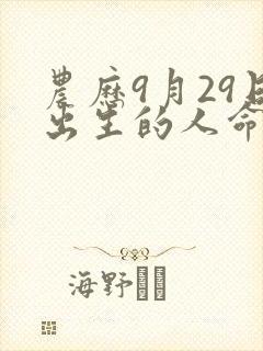 农历9月29日出生的人命运