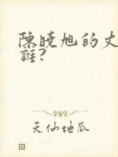 陈晓旭的丈夫是谁?封面