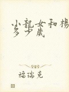 小龙女和杨过差多少岁封面