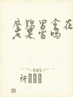 摩羯男会在乎女友是处吗封面