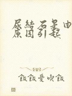 尿结石是由什么原因引起