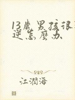 13岁男孩很叛逆怎么办