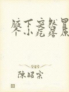 腋下突然冒出一个小疙瘩原因