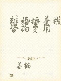 离婚抚养权律师咨询费用