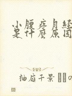 小腹疼月经没来是什么原因