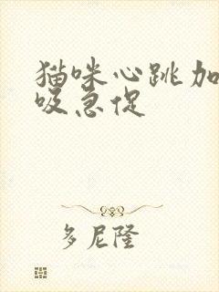 猫咪心跳加快呼吸急促