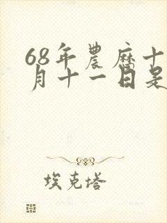 68年农历十一月十一日是什么命