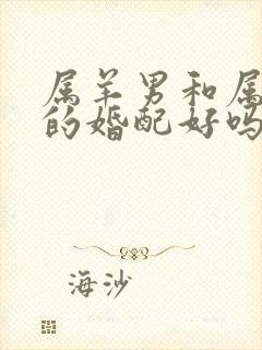 属羊男和属鼠女的婚配好吗