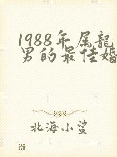 1988年属龙男的最佳婚配
