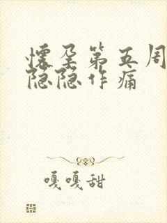 怀孕第五周肚子隐隐作痛