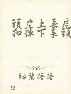 头皮上长疙瘩一扣掉下来头皮屑硬块