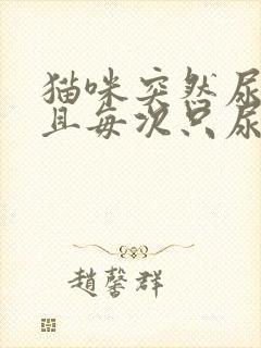 猫咪突然尿频而且每次只尿一点