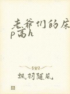 老爷们的床奴np高h