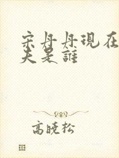 宋丹丹现在的丈夫是谁