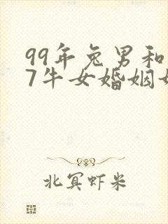 99年兔男和97牛女婚姻如何封面