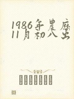 1986年农历11月初八出生命运