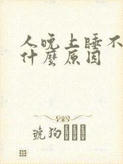 人晚上睡不着是什么原因