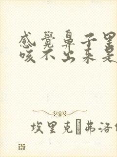 感觉鼻子里有痰咳不出来是怎么回事