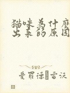 猫咪为什么尿不出来的原因封面