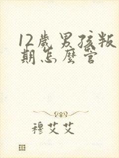 12岁男孩叛逆期怎么管