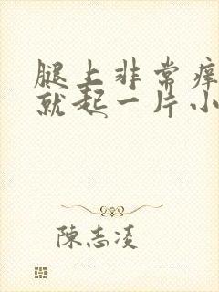 腿上非常痒一抓就起一片小疙瘩封面