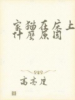 家猫在床上拉尿什么原因