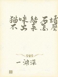 猫咪结石堵塞尿不出来怎么办