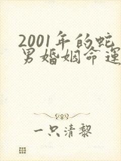 2001年的蛇男婚姻命运状况