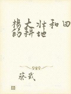 杨大壮和田桂花的耕地