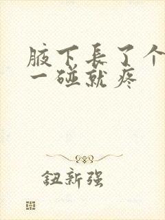 腋下长了个肿块一碰就疼