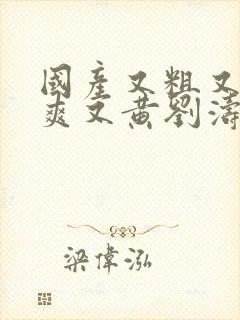 国产又粗又猛又爽又黄刘涛视频