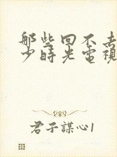 那些回不去的年少时光电视剧免费封面