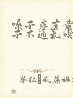 嗓子疼有黄痰鼻子不通气吃什么药