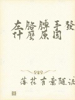 左胳膊手发麻是什么原因