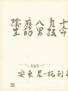 阴历八月十六出生的男孩命运如何