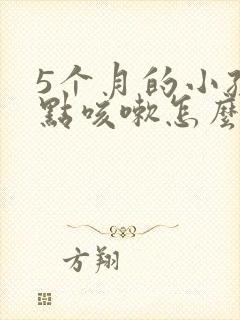 5个月的小孩有点咳嗽怎么办