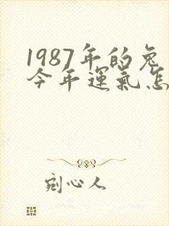 1987年的兔今年运气怎么样