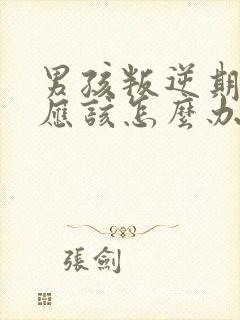 男孩叛逆期家长应该怎么办封面