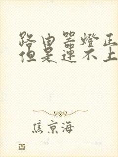 路由器灯正常亮但是连不上网