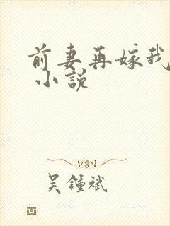 前妻再嫁我一次 小说
