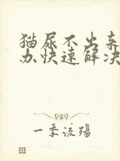 猫尿不出来怎么办快速解决