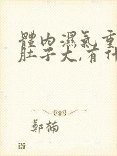 体内湿气重导致肚子大,有什么办法解决