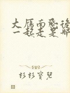 大雁南飞后和我一起走是哪首歌