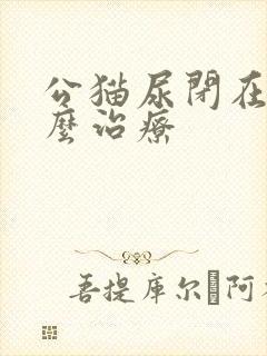 公猫尿闭在家怎么治疗