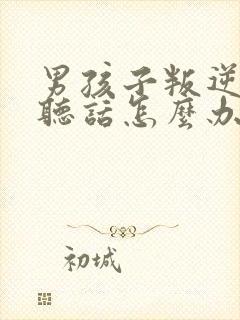 男孩子叛逆期不听话怎么办封面